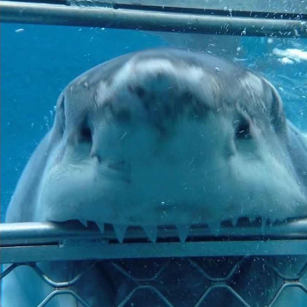 Meet your Posher, Jeff